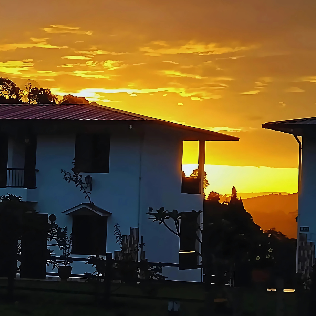 HotelCampestreElTriunfo-SanAgustinHuila-HotelFamiliar-Hotel-HotelEcologico-Senderismo-Cocinatradicional-ComidaOrganica-Lago-Piscina-Paisajismo-AvistamientoAves-13-370x250