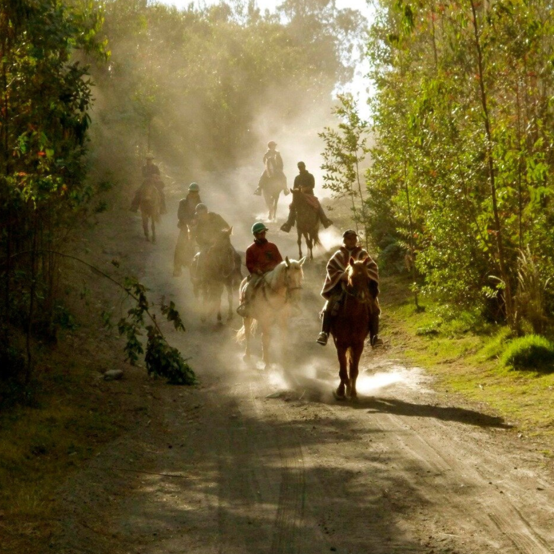 cabalgata agencia de viajes oui latin travel colombia