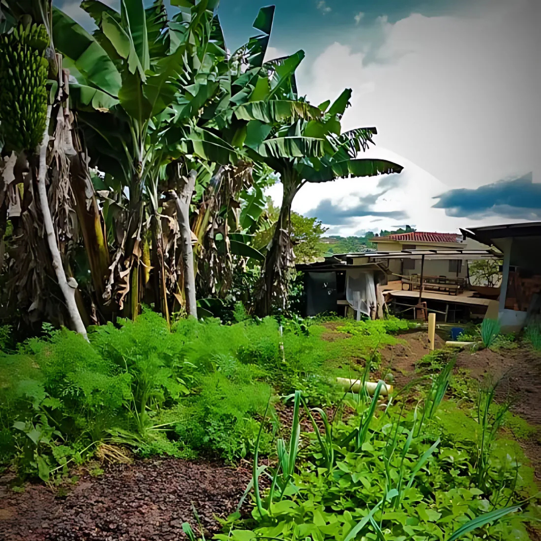 huerta manuel valdes