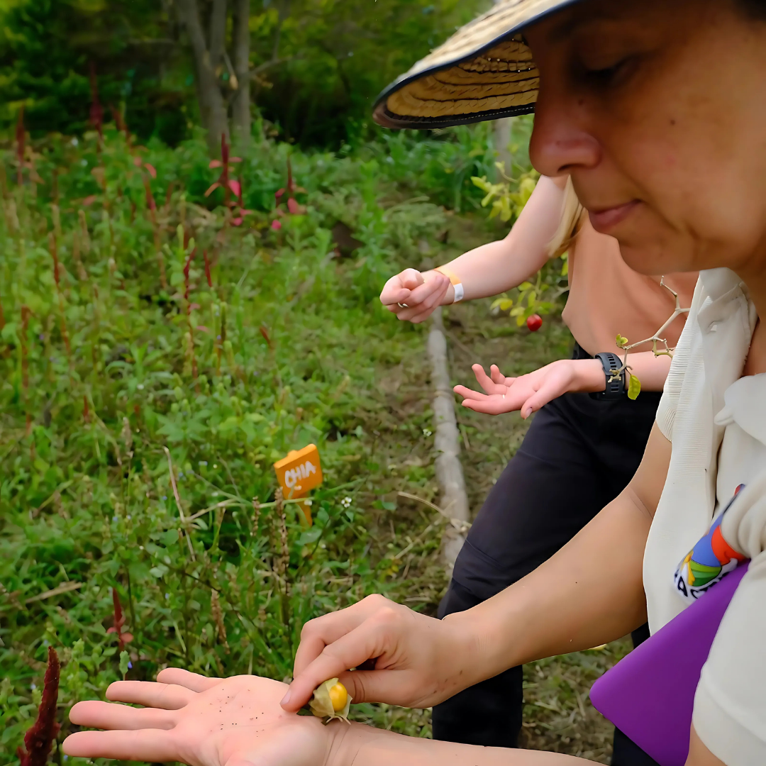 semilla en el jardin San Agustín tierractiva alojamiento agroturístico