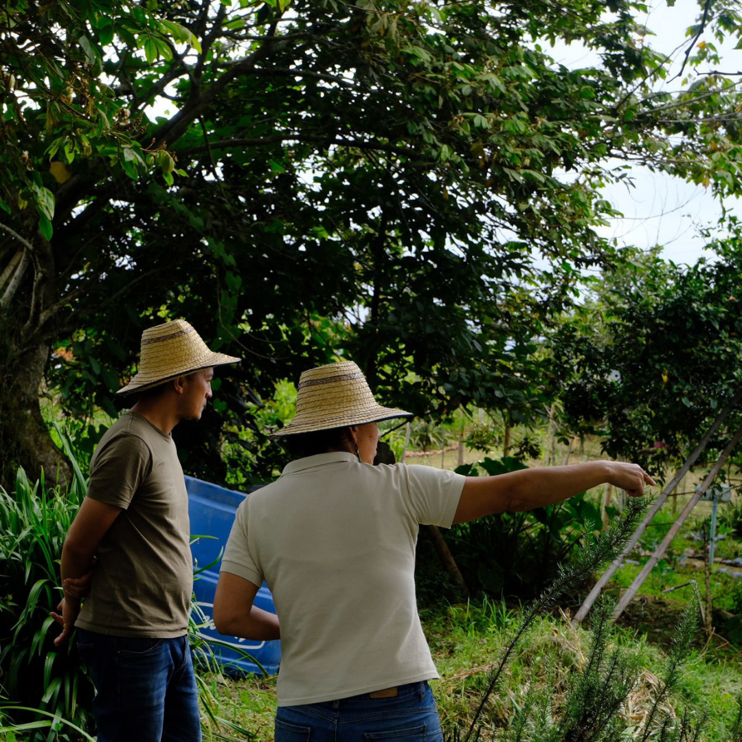 tierractiva jardin alojamiento agroturístico