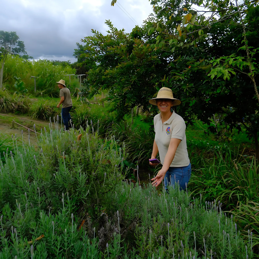 tierractivacultivo alojamiento agroturístico