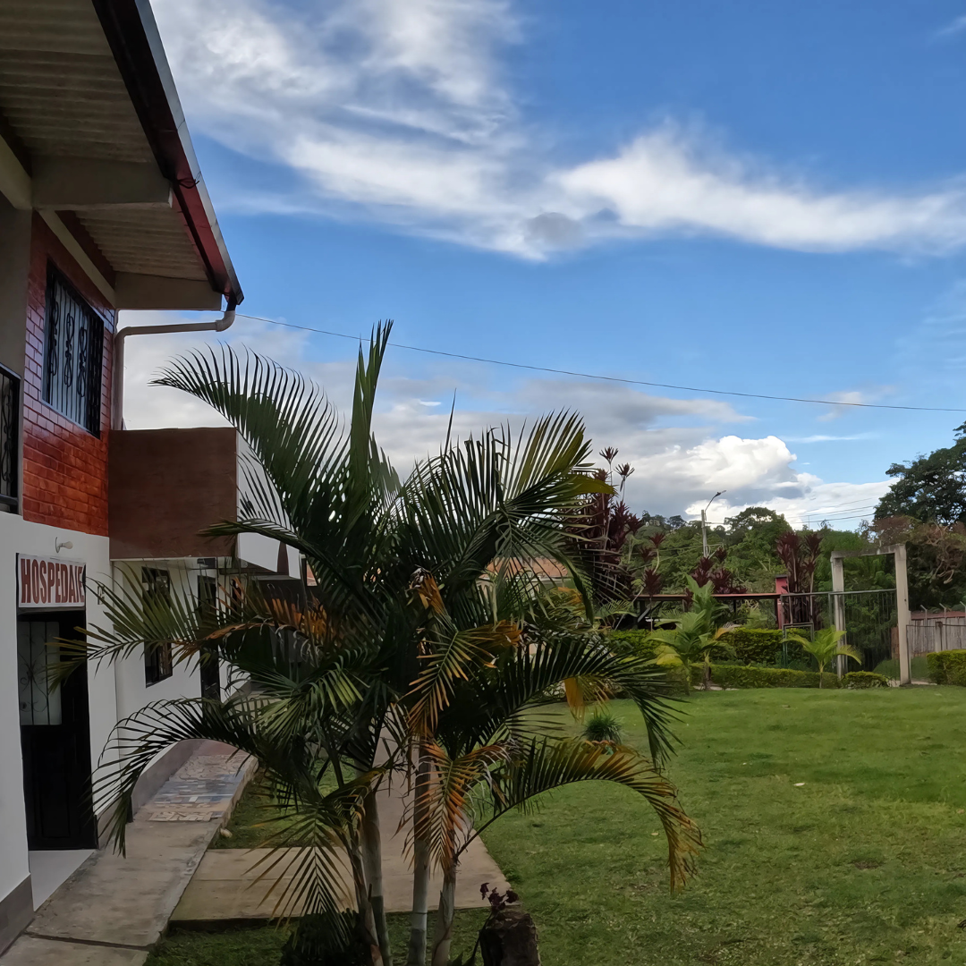 vista exterior manuel valdes