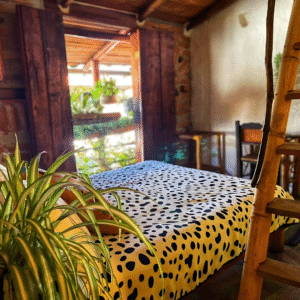 Room Balsero hotel casa tarzan