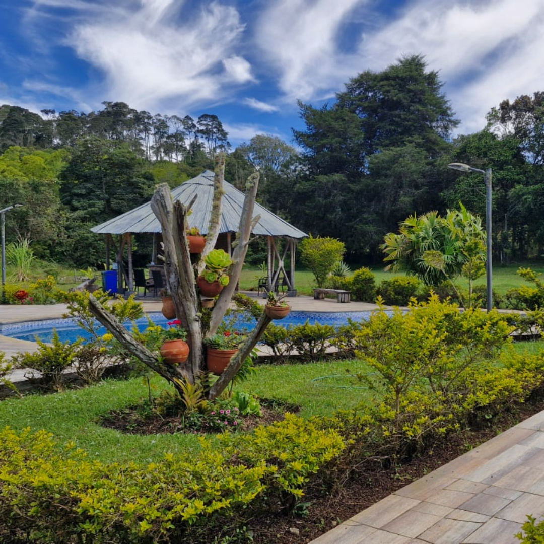 jardin_ hotel yalconia